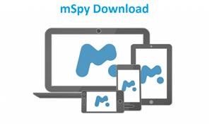 Can You Check Mspy on Your Phone