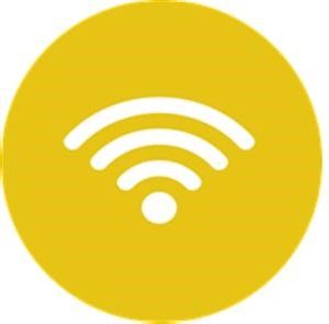 Mspy News