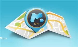 Mspy License Key
