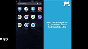 Mspy Collect All Texts