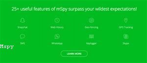 Mspy Basic Worth It
