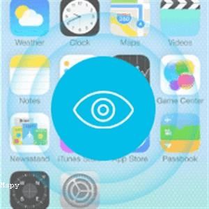 Mspy Software Cost