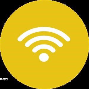 Mspy España