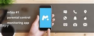 Mspy for Windows Torrent