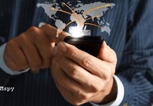 Mspy Software Cost