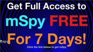 How to Use Mspy Iphone