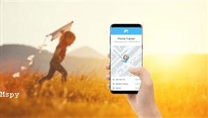 How to Remotely Install Mspy
