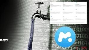 Mspy Phone Number