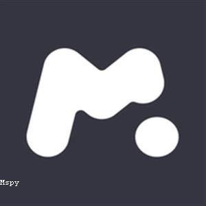 Does Mspy Work on Laptops