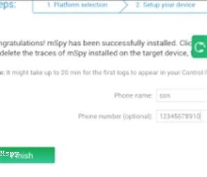 Mspy Api Key