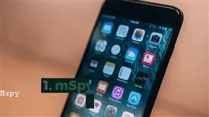 Mspy Cancellation