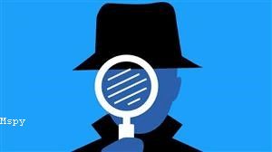 Mspy Demo Version